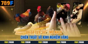 da-ga-cua-sat-mo-khoa-chien-thuat-va-kinh-nghiem-vang