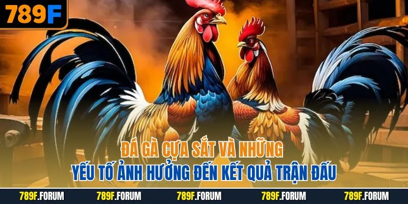 da-ga-cua-sat-va-nhung-yeu-to-anh-huong-den-ket-qua-tran-dau