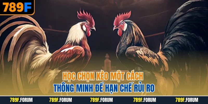 hoc-chon-keo-mot-cach-thong-minh-de-han-che-rui-ro