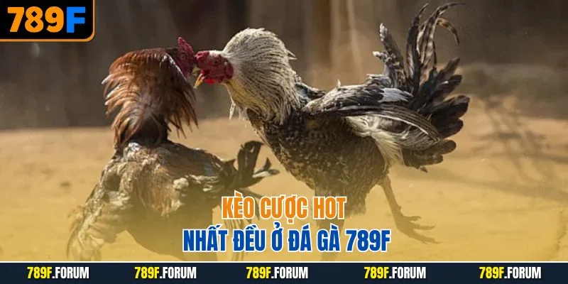 keo-cuoc-hot-nhat-deu-o-da-ga-789f