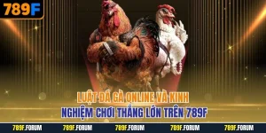 luat-da-ga-online-va-kinh-nghiem-choi-thang-lon-tren-789f