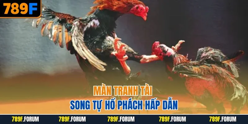 man-tranh-tai-song-tu-ho-phach-hap-dan