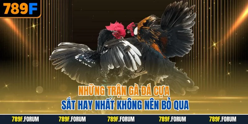nhung-tran-ga-da-cua-sat-hay-nhat-khong-nen-bo-qua